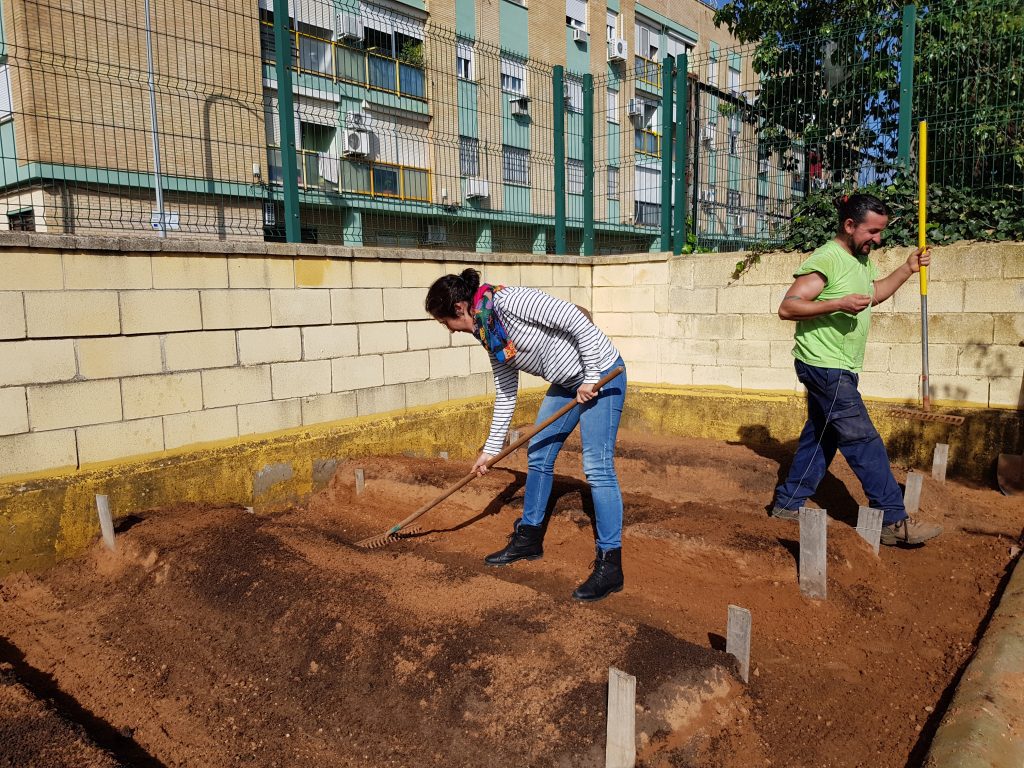 Imágenes CEIP Antonio Machado