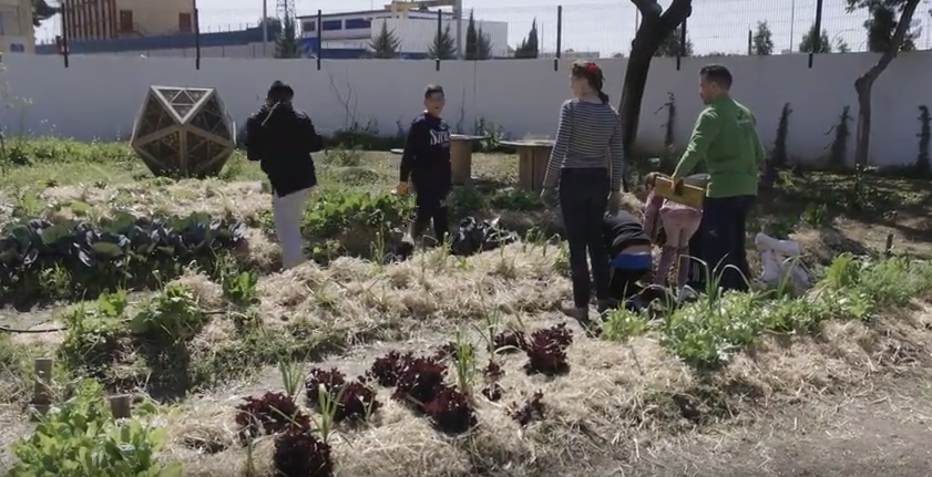 Imágenes Andalucía Polígono Sur «Fuera de Cuadro» o Como Construir 5 Jardines Singulares en 5 Colegios de Sevilla