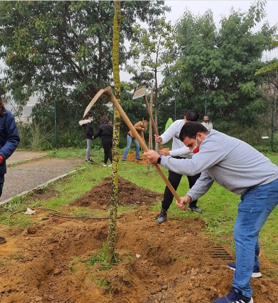 IES Antonio Dominguez Ortiz Proyecto de Educación Ambiental: IES Antonio Dominguez Ortiz