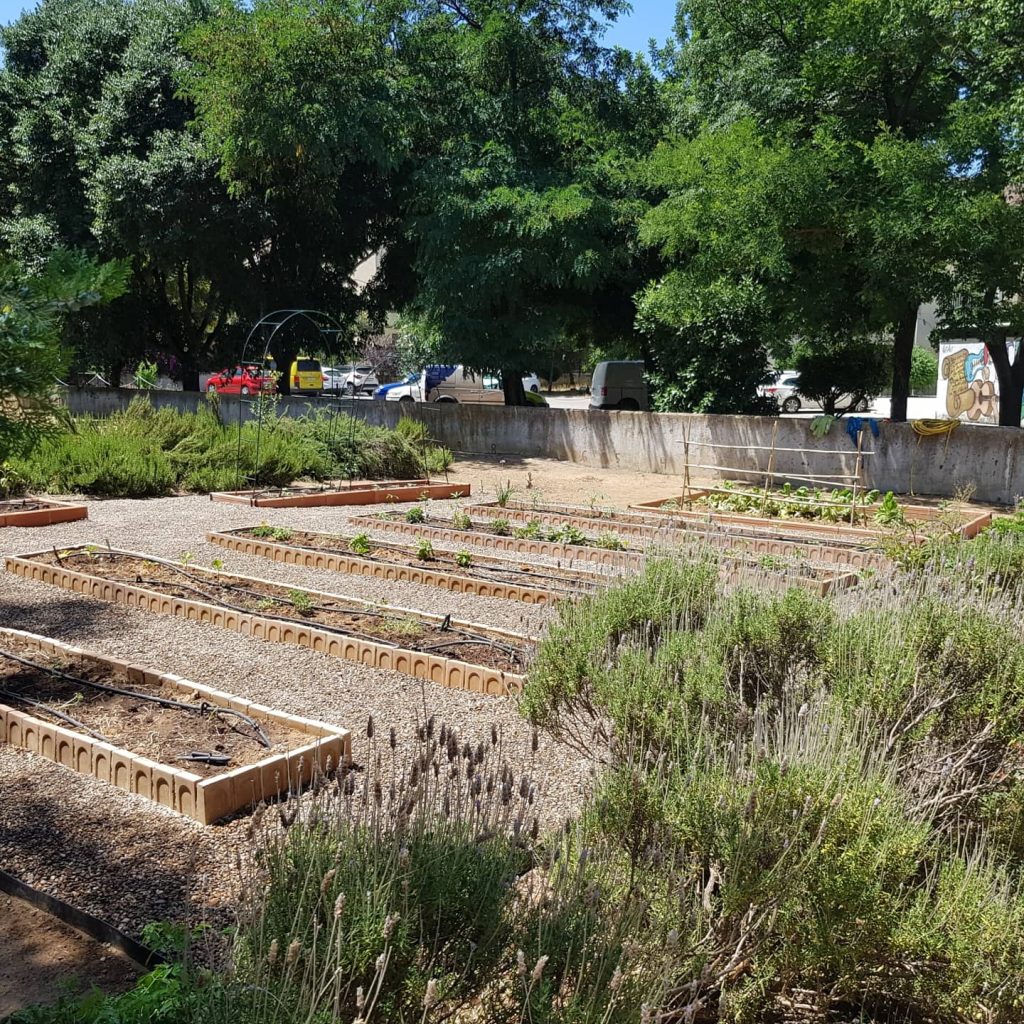 IES Azahar Proyecto de Educación Ambiental: Huerta del Azahar - IES Azahar