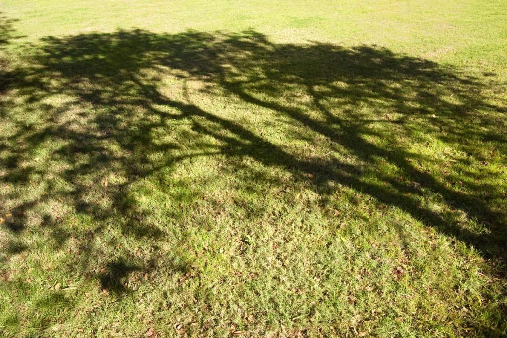 Los pilares del jardín, la tierra Los pilares del jardín la tierra