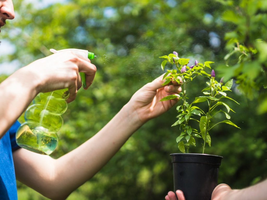 Agua, jardinería y lenguaje vegetal Agua Jardinería y Lenguaje Vegetal
